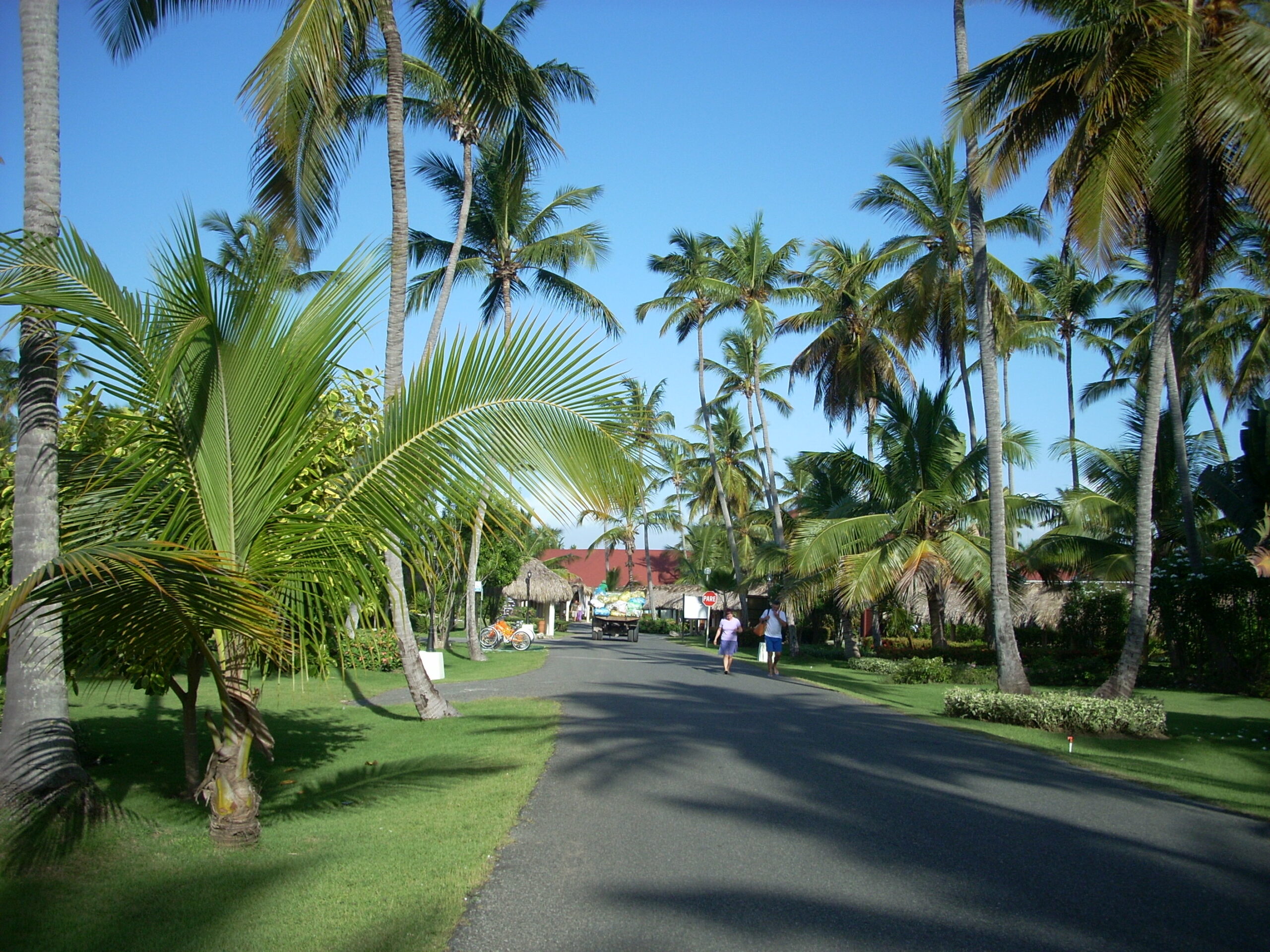 Dominican Republic- Punta Cana