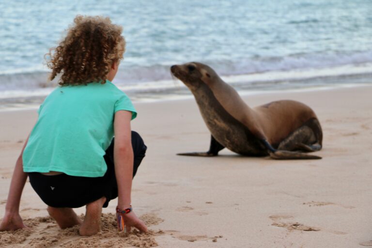 Galapagos Islands, the Perfect Multi-Generation Trip!