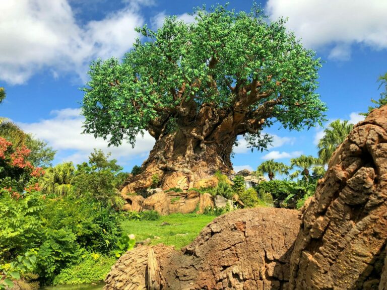 The Ultimate Guide to Disney`s Animal Kingdom