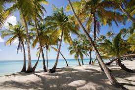 5 Irresistible Reasons Punta Cana Tops Your Summer Vacation List!