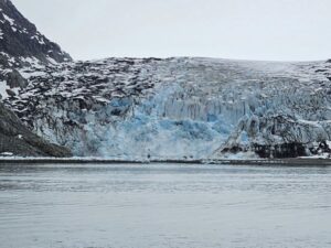 Glacier Bay Alaska