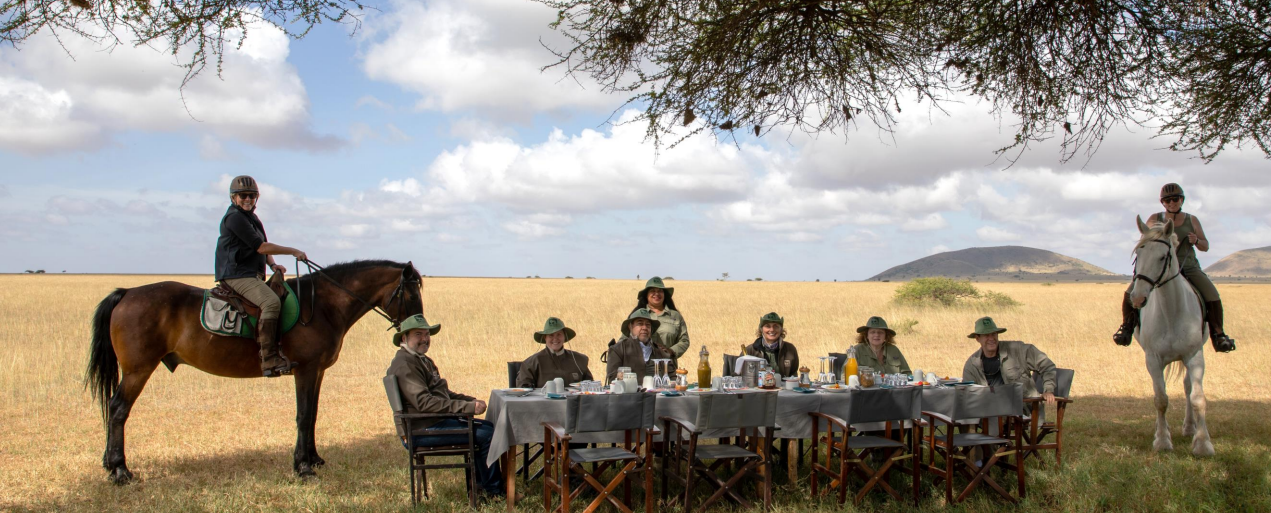 safari lunch