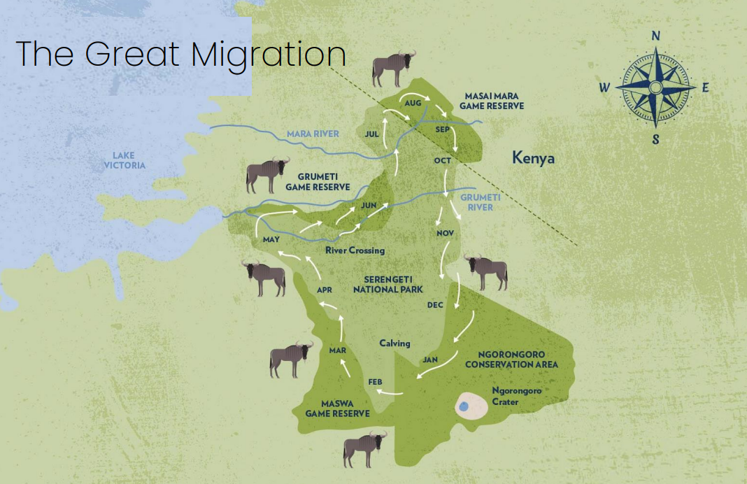 the great migration in Africa