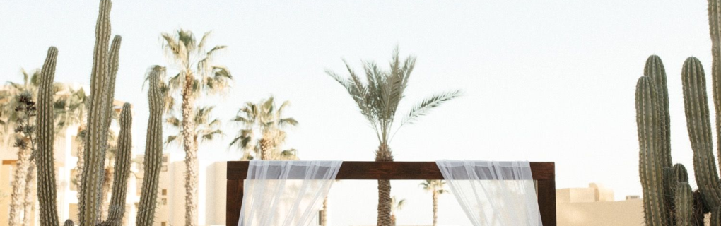  compare and contrast these 11 trending resorts in Cabo San Lucas for destination weddings 