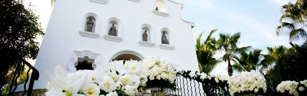  compare and contrast these 11 trending resorts in Cabo San Lucas for destination weddings 