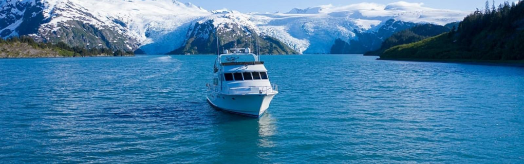 Compare and contrast these cruise companies that have Alaska itineraries 