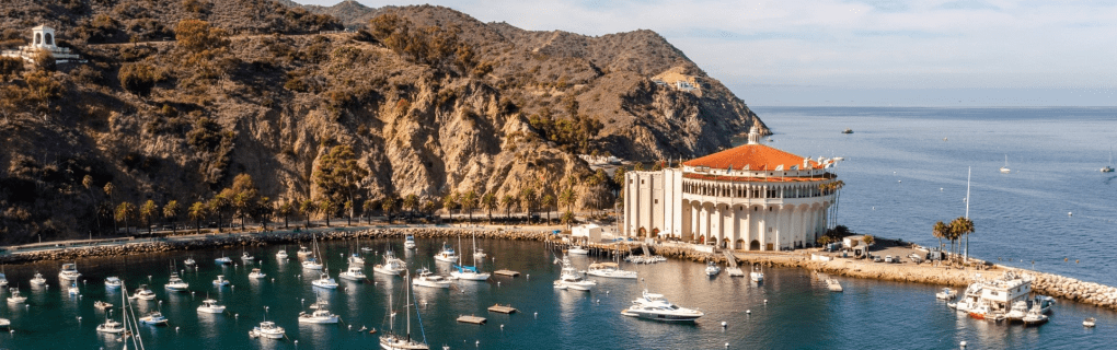 How to become a cruise travel agent in California