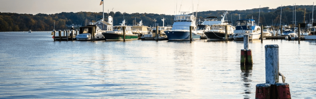 How to become a cruise travel agent in Connecticut