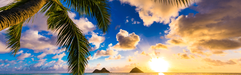 How to become a cruise travel agent in Hawaii