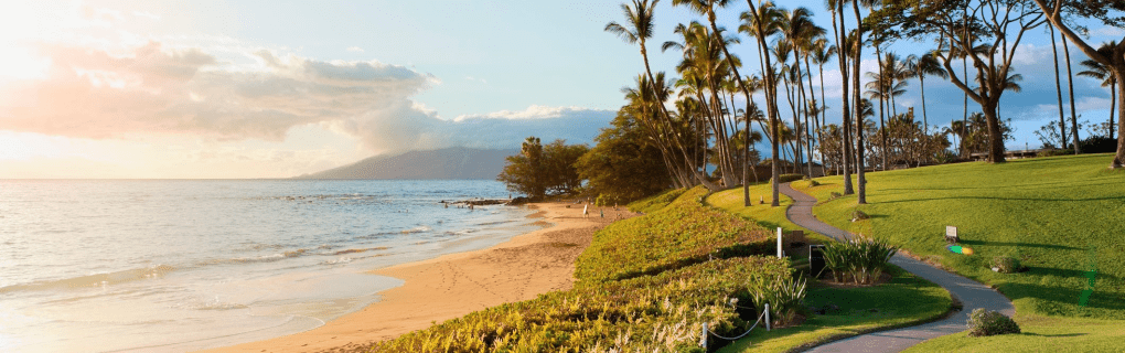 How to become a cruise travel agent in Hawaii