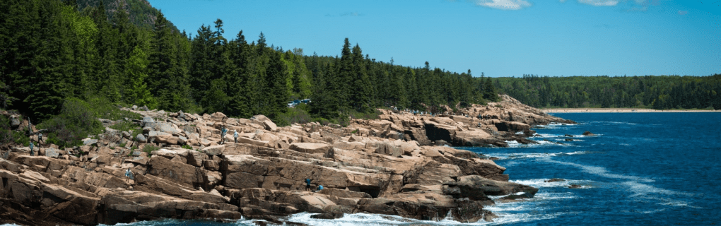 How to become a cruise travel agent in Maine