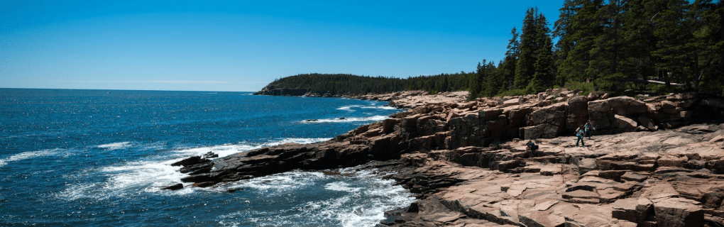 How to become a cruise travel agent in Maine