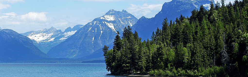 How to become a cruise travel agent in Montana