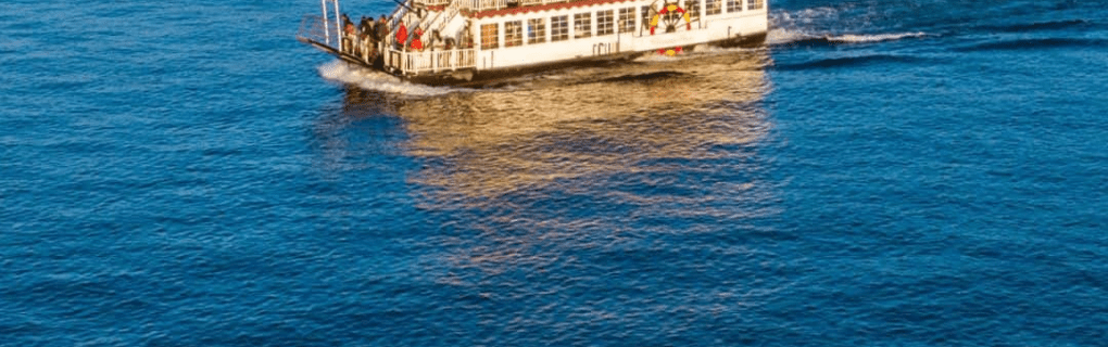 How to become a cruise travel agent in West Virginia that specializes in ocean cruises, river cruises, expedition cruises, adventures cruises and more  