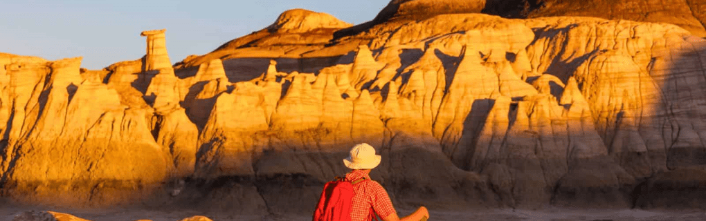 How to become a disney travel agent in New Mexico