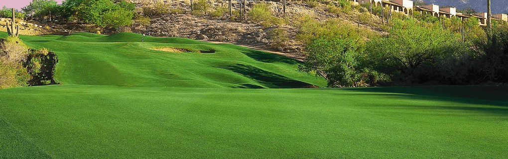 Why Arizona is a great place to become a travel agent who specializes in Hawaii Arizona work as a travel agent in Arizona and sell trips to Hawaii. 
