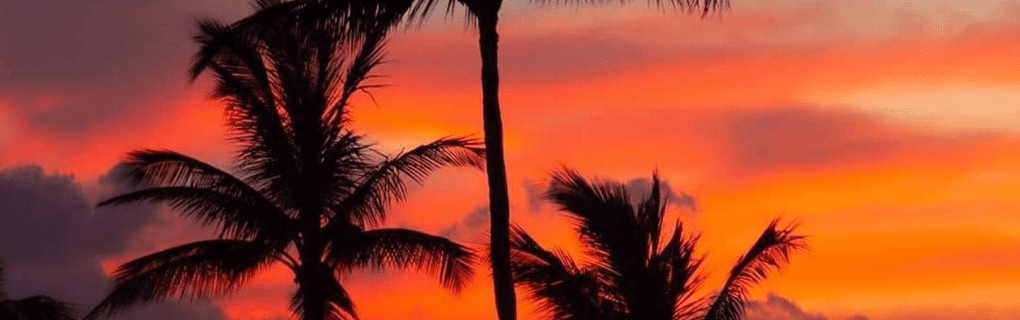 Why Hawaii is a great place to become a travel agent who specializes in Hawaii Hawaii work as a travel agent in Hawaii and sell trips to Hawaii. 