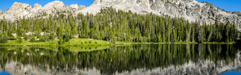 how to become a travel agent in Idaho