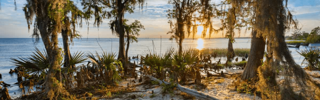 Why Louisiana is a great place to become a travel agent who specializes in Hawaii Louisiana work as a travel agent in Louisiana and sell trips to Hawaii. 