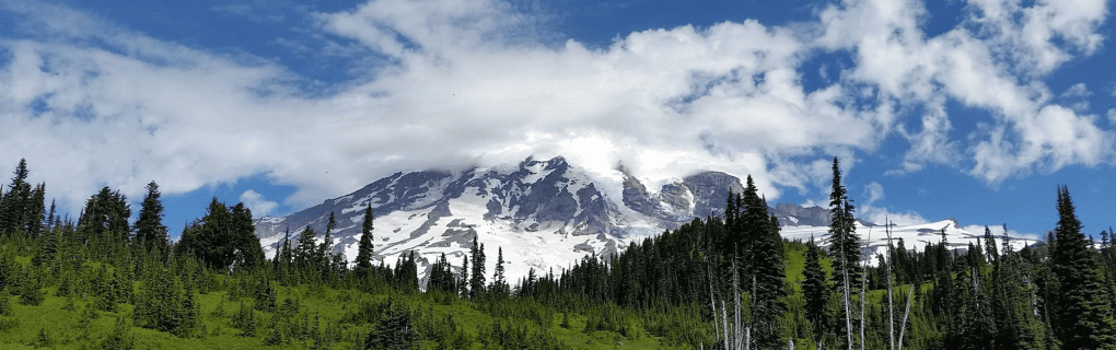 Why Minnesota is a great place to become a travel agent who specializes in Hawaii Minnesota work as a travel agent in Minnesota and sell trips to Hawaii. 