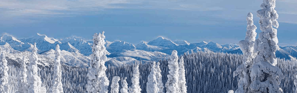 Why Montana is a great place to become a travel agent who specializes in Hawaii Montana work as a travel agent in Montana and sell trips to Hawaii. 