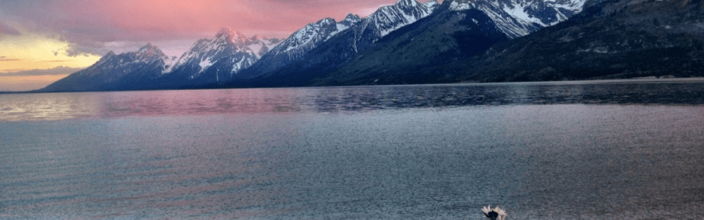 Why Montana is a great place to become a travel agent who specializes in Hawaii Montana work as a travel agent in Montana and sell trips to Hawaii. 