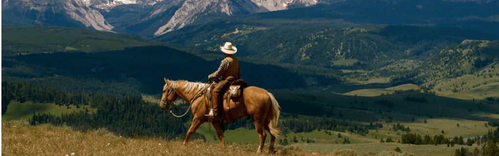 how to become a travel agent in Montana