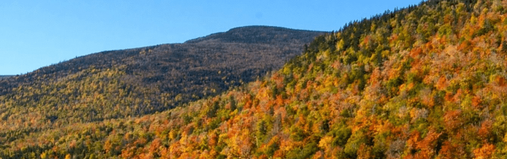 how to become a travel agent in New Hampshire