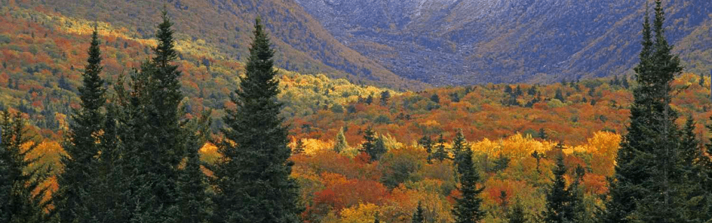 Why New Hampshire is a great place to become a travel agent who specializes in Hawaii New Hampshire work as a travel agent in New Hampshire and sell trips to Hawaii. 
