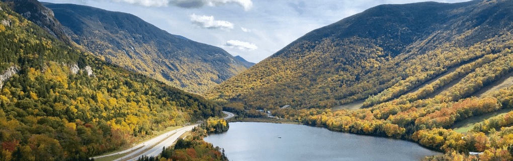 how to become a travel agent in New Hampshire