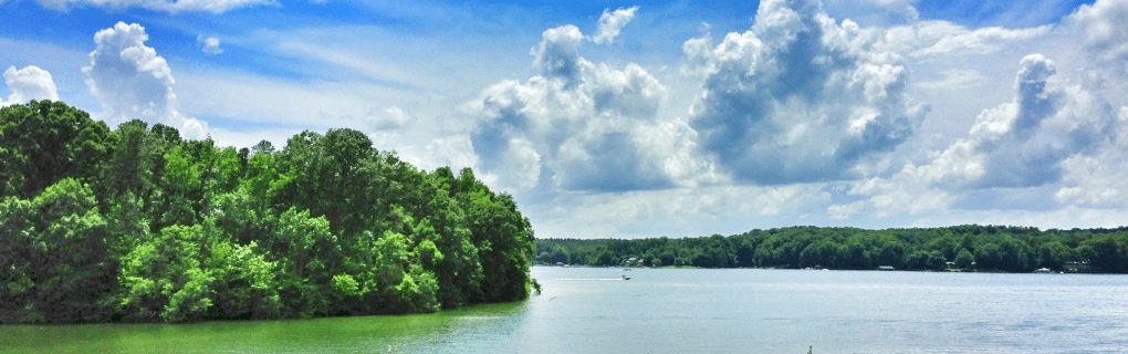 Why North Carolina is a great place to become a travel agent who specializes in Hawaii North Carolina work as a travel agent in North Carolina and sell trips to Hawaii. 
