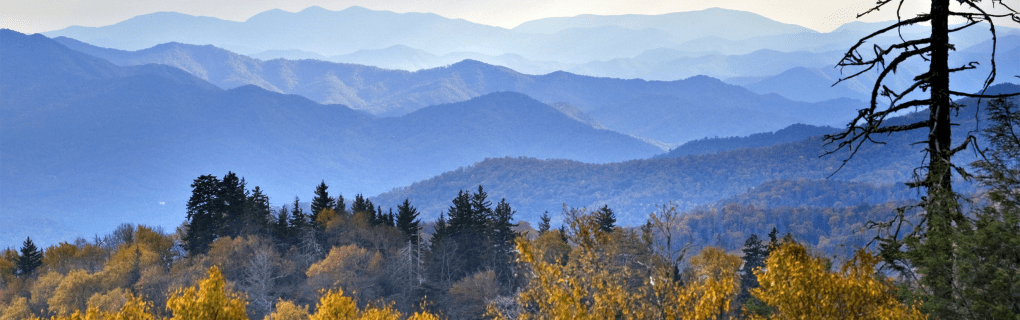 how to become a travel agent in North Carolina