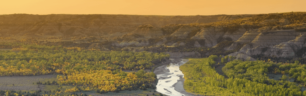 how to become a travel agent in North Dakota