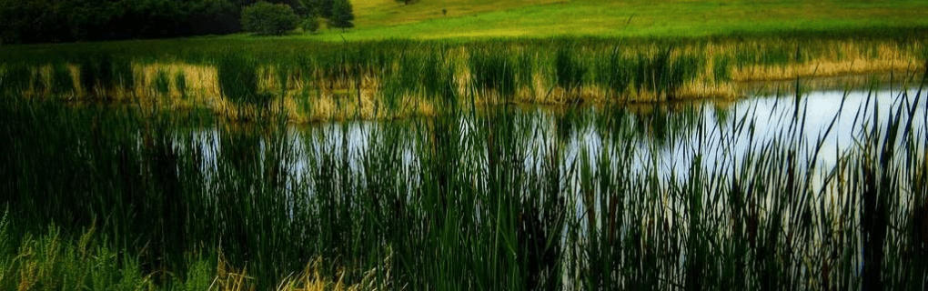 Why North Dakota is a great place to become a travel agent who specializes in Hawaii North Dakota work as a travel agent in North Dakota and sell trips to Hawaii. 
