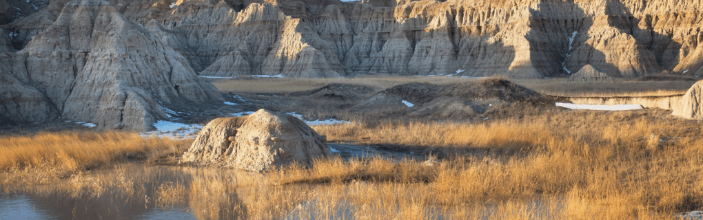 how to become a travel agent in South Dakota