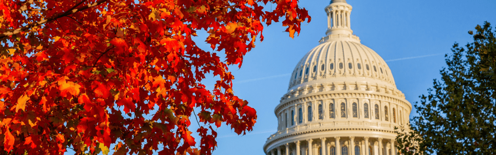 Why Washington is a great place to become a travel agent who specializes in Hawaii Washington work as a travel agent in Washington and sell trips to Hawaii. 