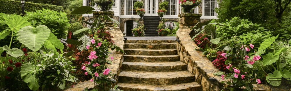 Why West Virginia is a great place to become a travel agent who specializes in Hawaii West Virginia work as a travel agent in West Virginia and sell trips to Hawaii. 