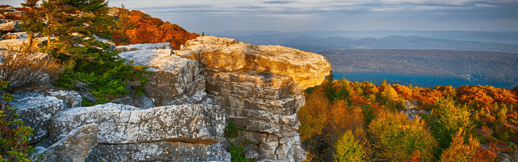 Why West Virginia is a great place to become a travel agent who specializes in Hawaii West Virginia work as a travel agent in West Virginia and sell trips to Hawaii. 