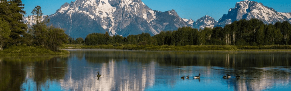 Why Wyoming is a great place to become a travel agent who specializes in Hawaii Wyoming work as a travel agent in Wyoming and sell trips to Hawaii. 