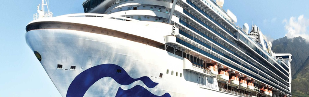 overview of the new cruise ship, the Star Princess from Princess Cruises