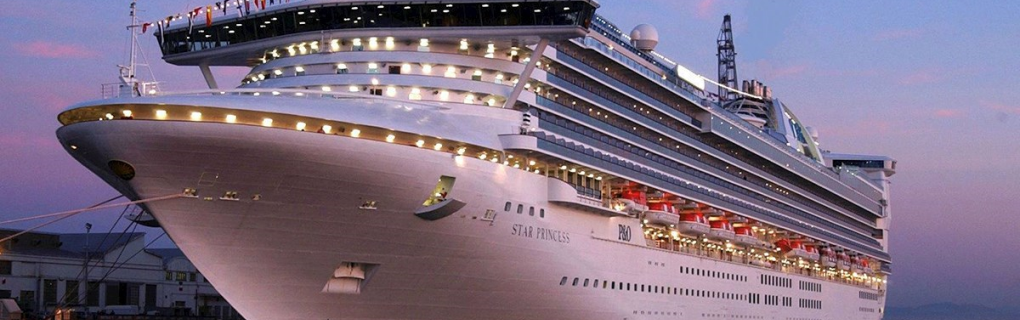 overview of the new cruise ship, the Star Princess from Princess Cruises