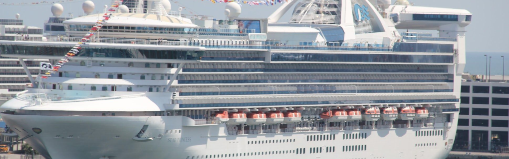 overview of the new cruise ship, the Star Princess from Princess Cruises