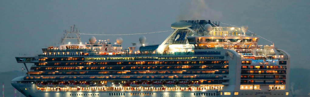 overview of the new cruise ship, the Star Princess from Princess Cruises