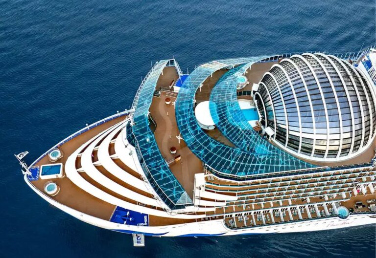 A Star is BORN with Princess Cruiseline