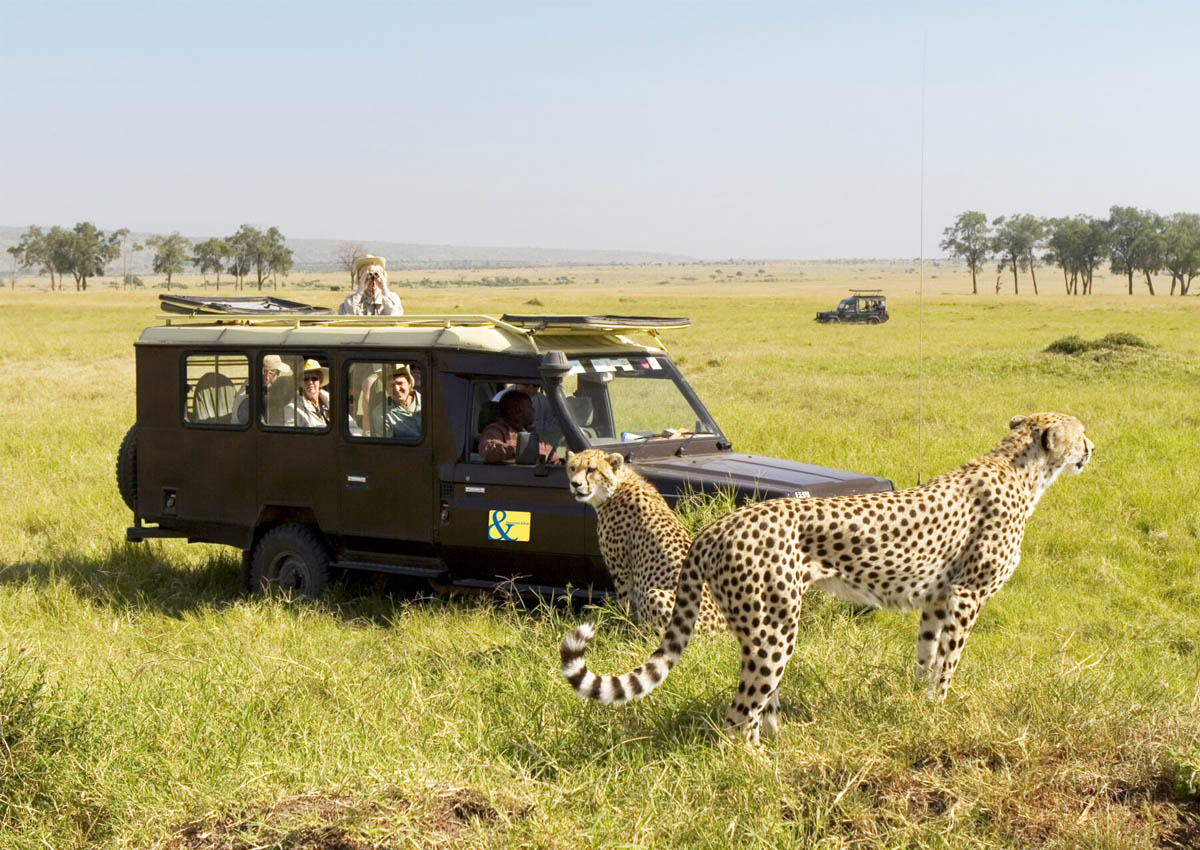 Maximize Your Earnings: Unpacking Our Preferred Supplier Access