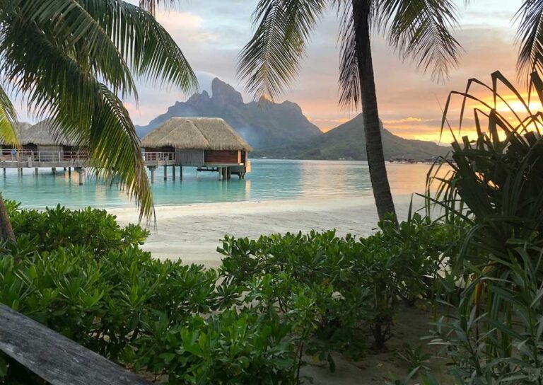 The Best Host Agency for Luxury Travel Advisors