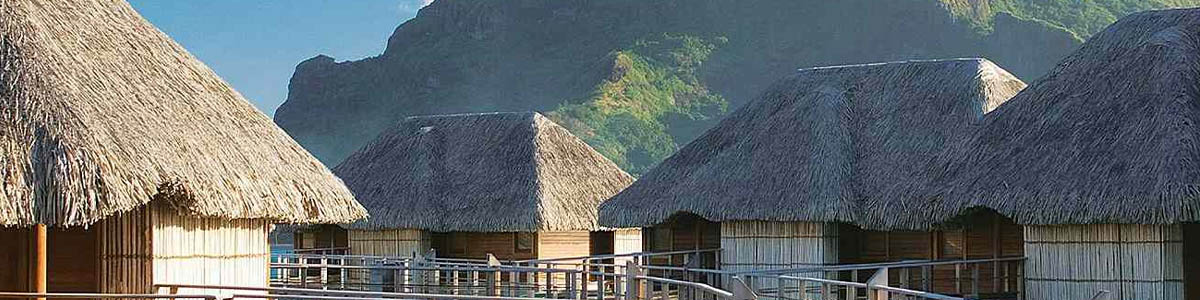 travel agent growth mindset