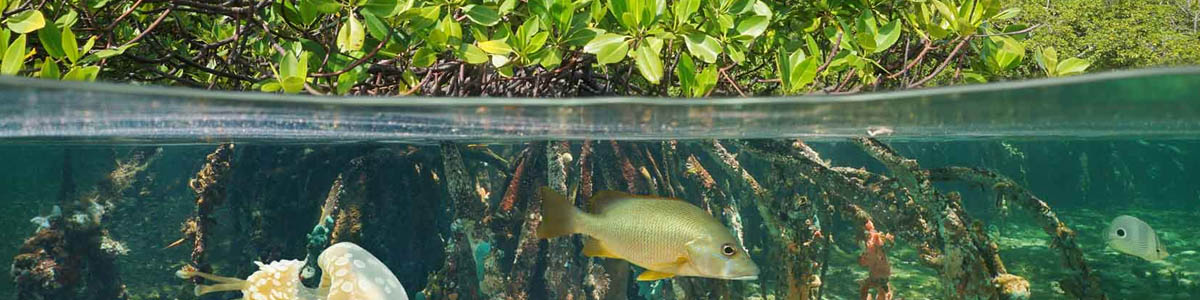 travel agent build a client attraction machine