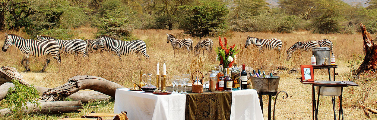 Custom Travel Agency Websites Without the Coding