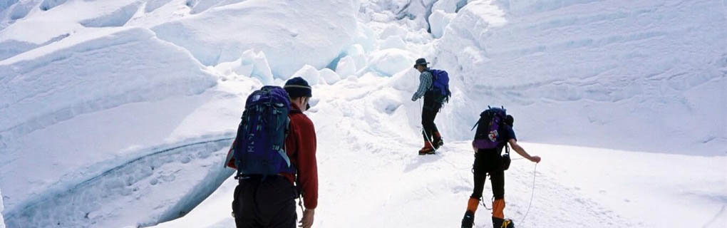 New Rules of Discovery for Travel Agents